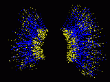 RHIC Image