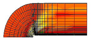 bluntfin.gif (5148 bytes)